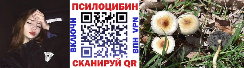 Псилоцибиновые грибы ЛСД  Эртиль 